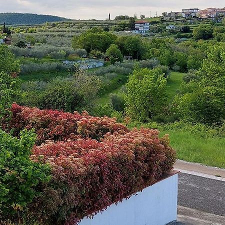 Aliana Apartment Sečovlje 외부 사진